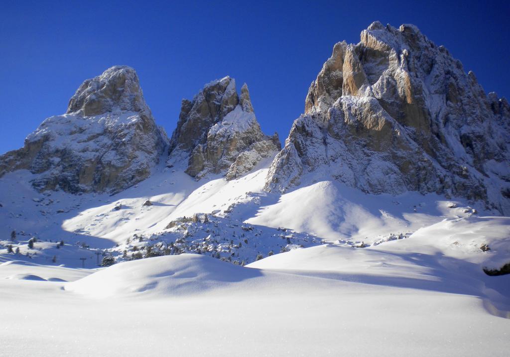 Residence Villa Artic Campitello di Fassa Luaran gambar